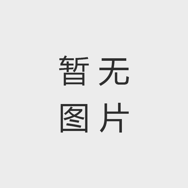 低氮燃燒器行業(yè)最新報(bào)告